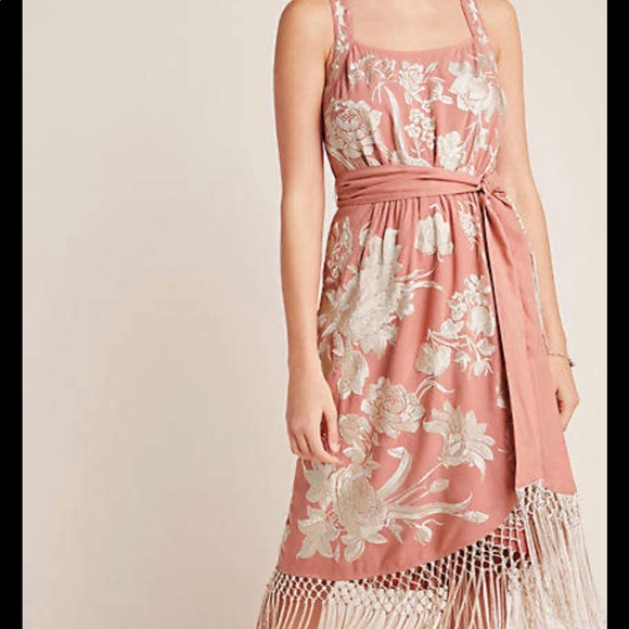 Anthropologie Lucille embroidered fringe dress - Picture 3 of 7